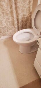 Toilet After